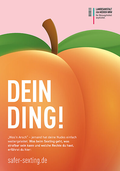 Plakat "Dein Ding" - Safer Sexting", Größe A1